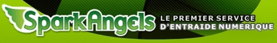 sparkangels Monétisez votre savoir-faire grâce au Widget Pro de SparkAngels