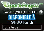 w_dispo_a Monétisez votre savoir-faire grâce au Widget Pro de SparkAngels