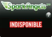 w_indispo Monétisez votre savoir-faire grâce au Widget Pro de SparkAngels