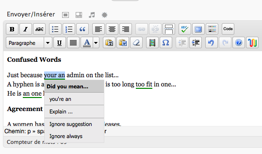 after-the-deadline-1 after the deadline 1 Vous bloguez en anglais? Ajoutez un correcteur dorthographe gratuit à Wordpress