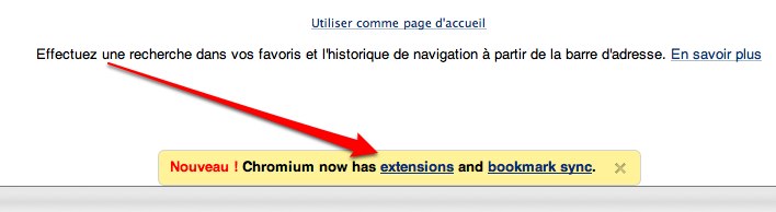 chrome extensions Google sapprêterait à lancer un répertoire de modules pour Chrome