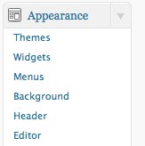 apparance Wordpress 3.0 une mise à jour ambitieuse!