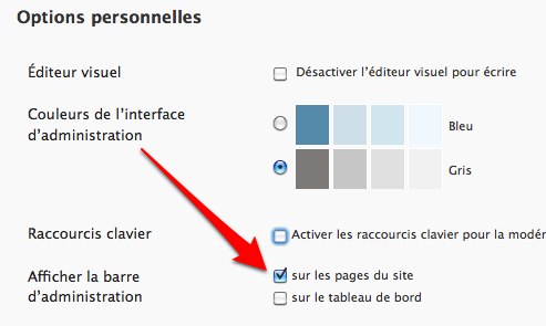 wordpress-31-1 wordpress 31 1 Wordpress 3.1: deux nouveautés intéressantes